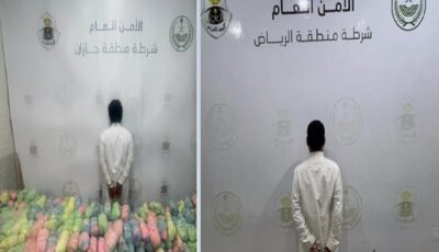 ضبط عدد من المخالفين ومروجي المخدرات..فيديو