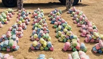 الأمن يحبط تهريب “القات” بجازان وترويج “الحشيش في الباحة